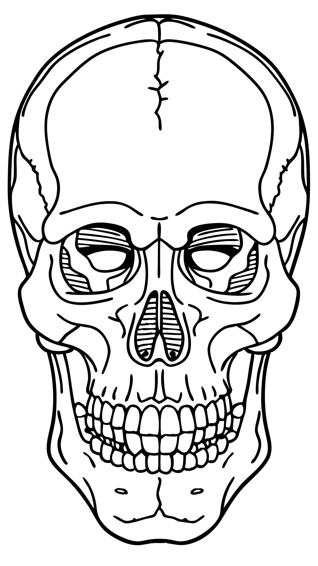 Páginas para colorear de calavera de anatomía